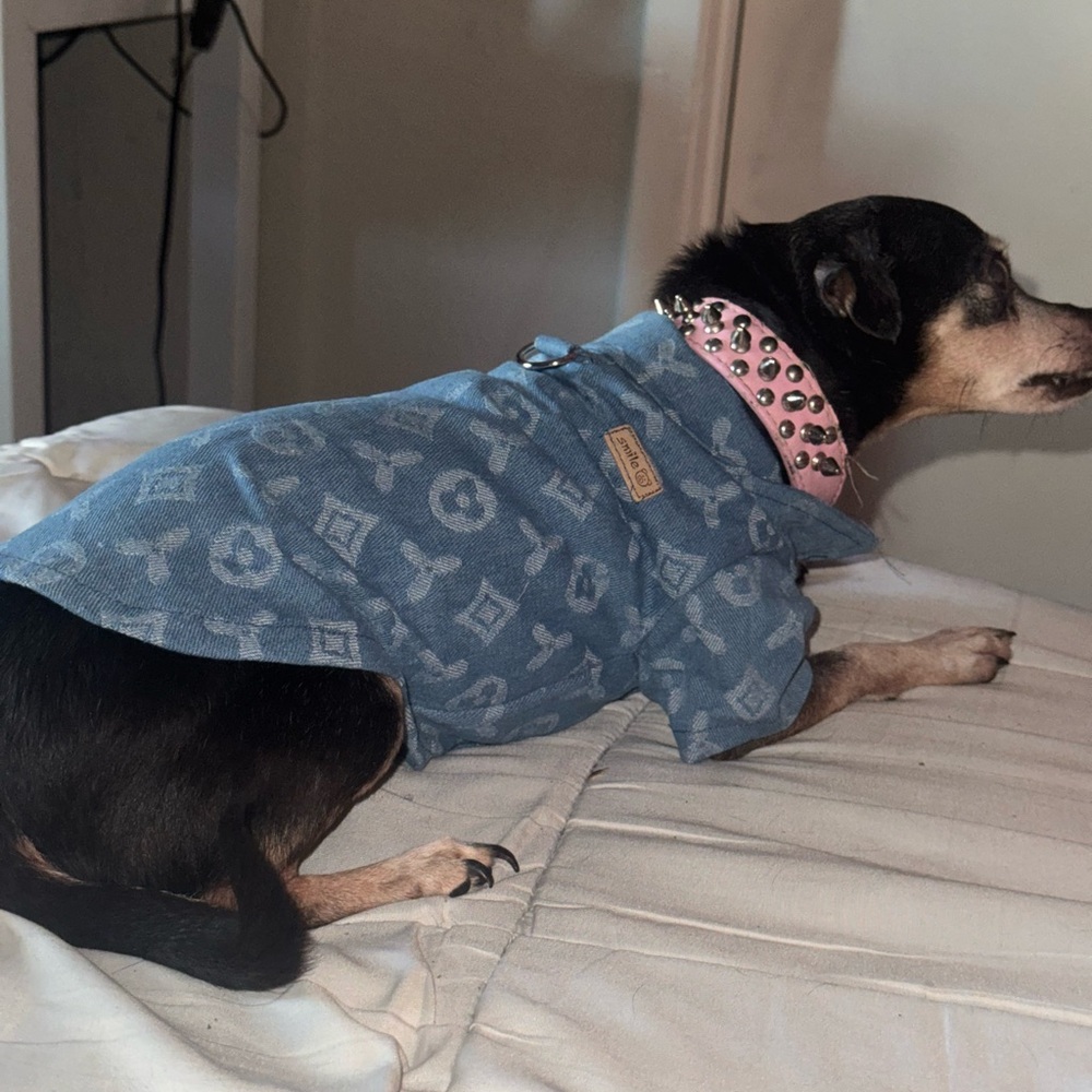 Chic Dog Denim Jacket